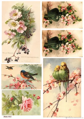 Набор декупажных карт 6 шт Цветы и птицы - купить с доставкой по выгодным  ценам в интернет-магазине OZON (174543904)