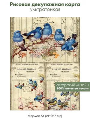 Рисовая бумага для декупажа карта А4 салфетка 0751 лесные птицы винтаж  крафт DIY | AliExpress