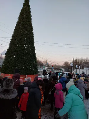 Городская «Ёлка желаний»: больше 200 одарённых детей получат новогодние  подарки :: 