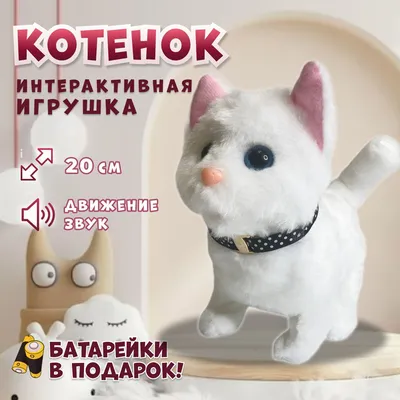 AAAA-Q2467-60x80 Пушистая желтоглазая кошка Животные Котята Коты Для детей  Детская Для мальчика Для девочки 60х80 Раскраска картина по номерам на  холсте недорого купить в интернет магазине в Москве и Санкт-Петербурге,  цена, отзывы,