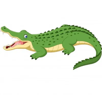 Игрушка для детей, крокодил с зубами. — цена 300 грн в каталоге Развивающие  игрушки ✓ Купить детские товары по доступной цене на Шафе | Украина  #128788726