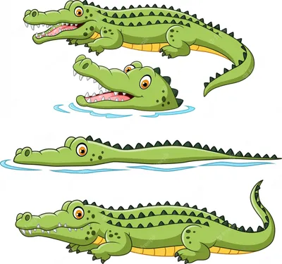 Мультяшный крокодил - 65 фото
