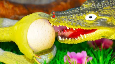 DN Игрушка антистресс крокодил с зубками игра для детей