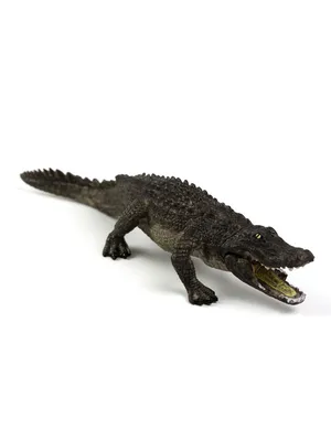 Резиновая игршка для детей Крокодил Кирилл С-840 Огонек - купить с  доставкой по выгодным ценам в интернет-магазине OZON (204234374)