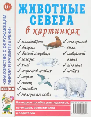 Животные севера: 12 развивающих карточек с красочными картинками, стихами и  загадками для занятий с детьми – купить по цене: 99 руб. в  интернет-магазине УчМаг