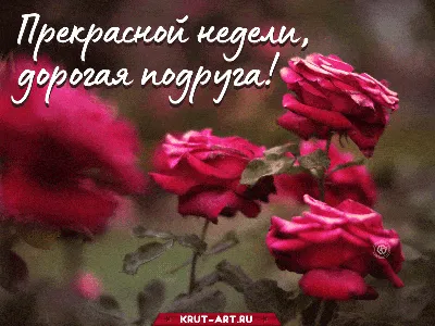 🌺🌺💖Для моей подруги Светули…» — создано в Шедевруме