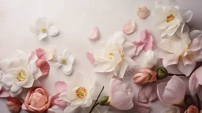 Нежный фон для сторис - цветы | Свадебные фоторамки, Свадебные карточки  рассадки, Свадебные картины