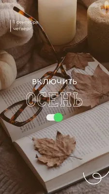 Страница 10 — Бесплатные шаблоны сторис Instagram | Обложки, фоны для  сторис | Canva