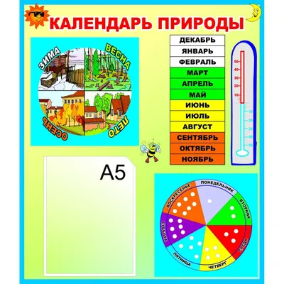 РАДУГА ИДЕЙ ДЛЯ ДЕТЕЙ — Фото |  | Дошкольные идеи, Дошкольные проекты,  Научные детские эксперименты