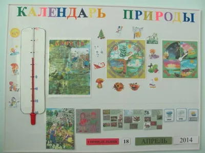 Картинки к уголку природы в доу (64 фото) » Картинки и статусы про  окружающий мир вокруг