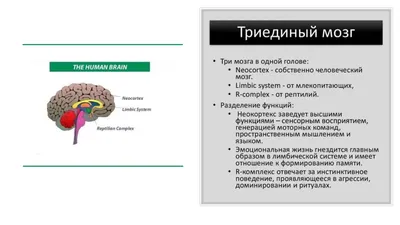 Energia Taro Yana - Что такое карта желаний?💫 ⠀ Карта желаний, доска  визуализации, vision board, коллаж желаний — всё это разные названия одного  инструмента, который помогает исполняться вашим мечтам. Это эффективный и