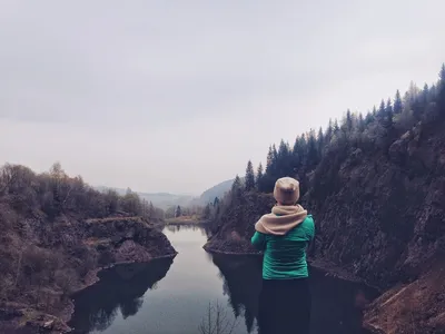 Сектор знаний на карте желаний