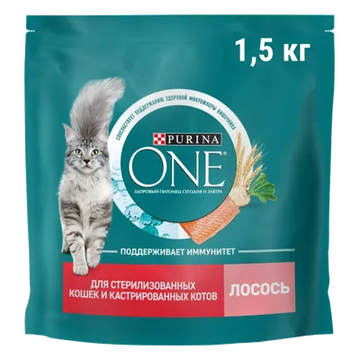 Купить Сухой корм Purina ONE® для стерилизованных кошек и котов с лососем и  пшеницей, пакет, 1,5 кг -официальный интернет-магазин Purina