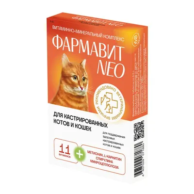 Коты и кошки по-разному реагируют на призывы котят