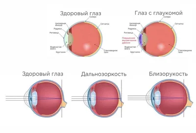 Купить Selfdocs Vision по доступной цене с доставкой