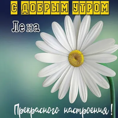 Купить почтовую открытку Набор "Депрессивное искусство Лены Запрудских" в  интернет-магазине Почтовое Бюро