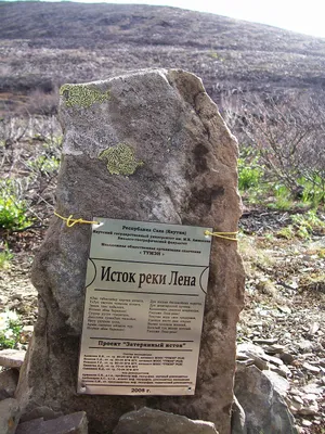 Дом с балконом из жёлтого кирпича. В гостях у Лены | Дом, в который хочется  приходить