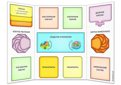 Идеи на тему «Lapbook» (69) | лэпбук, лэпбуки, школьные проекты