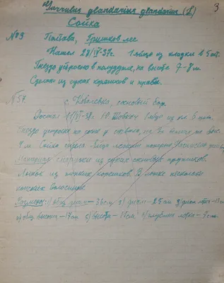 Девочка рассказала как во время подготовки и сдачи ЕГЭ вела личный дневник,  где спрогнозировала свои будущие результаты | Подслушано ЕГЭ | Дзен