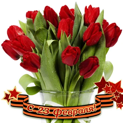 Романтическое оформление для любимого мужчины ᐉ купить • цена в Харькове |  