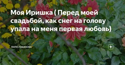 Открытки «С Днём Рождения, Иришка»: 50 картинок