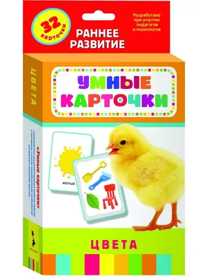 FUN TOYS BABY Книги для малышей развивающие и обучающие карточки Домана