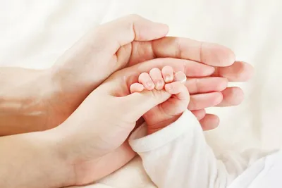 Руки мамы, папы и маленького сына | Премиум Фото