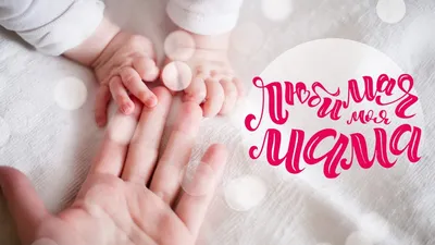 День матери!...Идеи поздравительных слов и подарков для мамы | Семья | WB  Guru