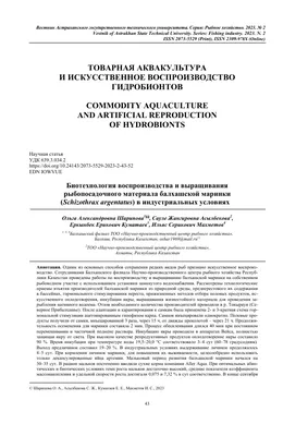 БИОТЕХНОЛОГИЯ ВОСПРОИЗВОДСТВА И ВЫРАЩИВАНИЯ РЫБОПОСАДОЧНОГО МАТЕРИАЛА  БАЛХАШСКОЙ МАРИНКИ (SCHIZOTHRAX ARGENTATUS) В ИНДУСТРИАЛЬНЫХ УСЛОВИЯХ –  тема научной статьи по биологическим наукам читайте бесплатно текст  научно-исследовательской работы в ...