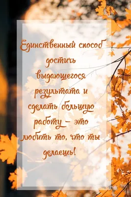 Ежедневник Мотивация к работе - купить с доставкой по выгодным ценам в  интернет-магазине OZON (537810980)