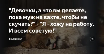 Девочки, а что вы делаете, пока муж на вахте, чтобы не скучать?" - "Я -  хожу на работу. И всем советую!" | Brusnikkina | Дзен