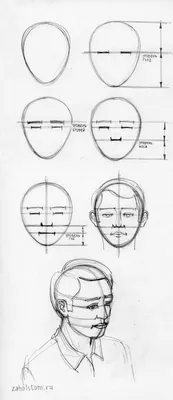 Пропорции в рисунке лица человека. Простая схема для начинающих художников.  |  | Рисунки лица, Нарисовать лица, Рисунки