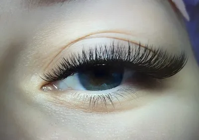 Наращивание ресниц - Perfect Lashes Perfect Lashes