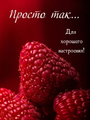 Подарок мужчине / подарочный набор сладостей / Настоящий мужчина всегда на  высоте - купить с доставкой по выгодным ценам в интернет-магазине OZON  (1258808686)