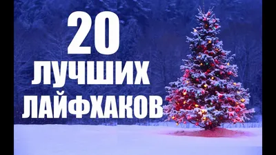 Новогодние композиции своими руками: украшаем дом на Новый год 2023 —  Украина — 