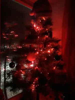 New Year's celebration in Russia - Топик (текст) на английском