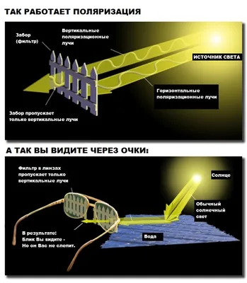 Как проверить очки на поляризацию