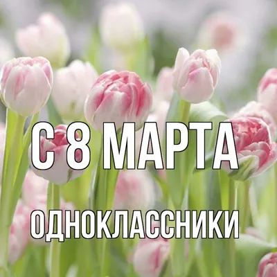 Перекресток Ойл - 8 марта