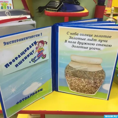 Уголок экспериментирования в детском саду: что должно быть по ФГОС