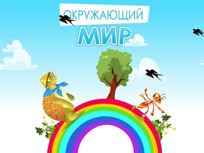 Что такое окружающий мир?