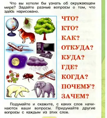 Смеюсь? Нет, плачу над учебником окружающего мира для 1 класса | Домобуч |  Дзен