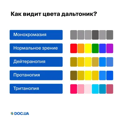 Полный тест на цветоощущение (дальтонизм) онлайн