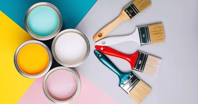 Types of Paint For Your Project – Forbes Home