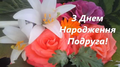 Привітання з днем народження найкращій подрузі — побажання зі своїми  словами, вірші, листівки - Телеграф