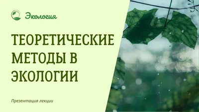 Презентация на тему: "«Влияние экологии на здоровье человека». Химические  загрязнения среды и здоровье человека.". Скачать бесплатно и без  регистрации.