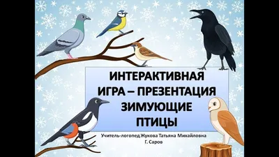 Интерактивная игра Зимующие птицы PowerPoint для интерактивной доски/Игр...  | Логопедические игры, Зима, Игры