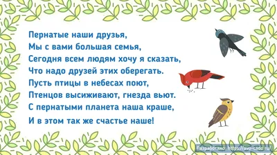 Презентация птицы России для 1-4 классов скачать для проектора и проведения  уроков