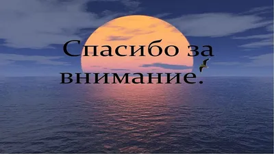 Спасибо за внимание: 62 картинки для презентации