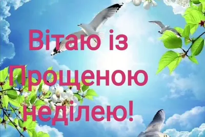 Добрые слова и теплые картинки в Прощеное воскресенье для прощения обид  другу другу 26 февраля | Курьер.Среда | Дзен