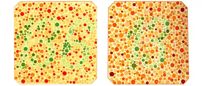 Тест для определения дальтонизма Test (Ишихара) Тест цветовой слепоты Japan  (ID#1855784355), цена: 2830 ₴, купить на 